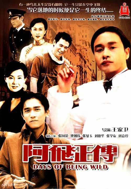 坎布里亚大学在读证明办理